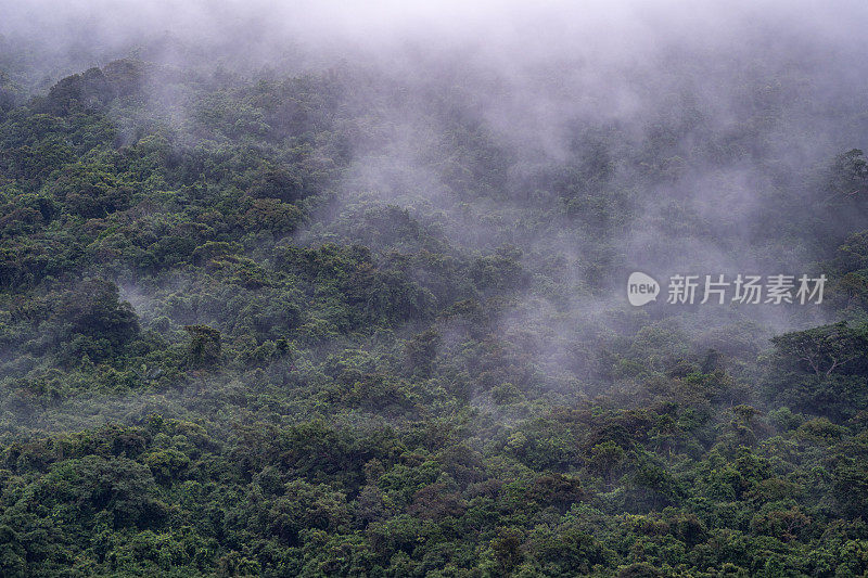 云卷在东南亚越南岘港外的Son Tra山的热带天堂